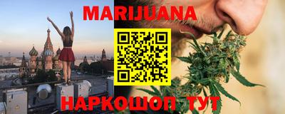 индика Гусев