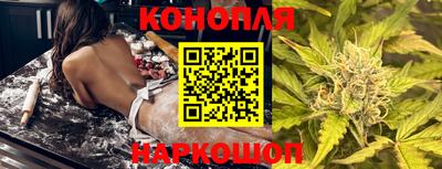 индика Гусев