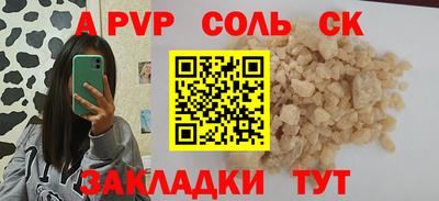 индика Гусев