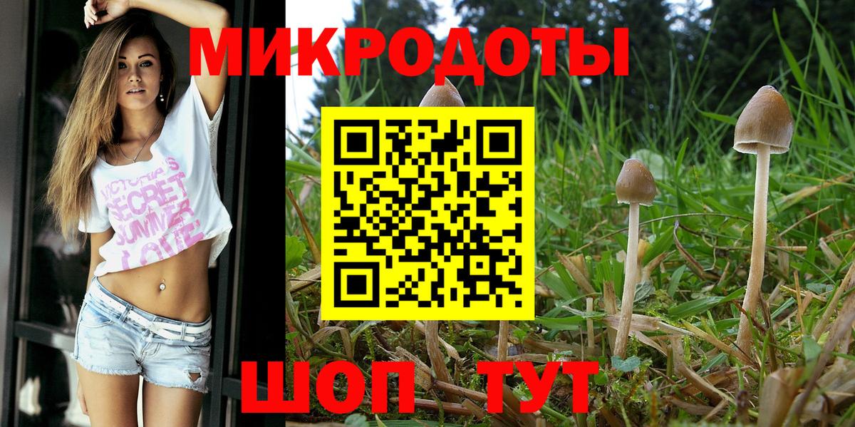 Псилоцибиновые грибы мухоморы  Псилоцибиновые грибы Psilocybine cubensis  Новотроицк  Вход с VPN 
